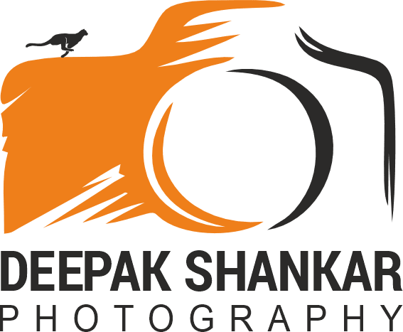 Deepak Shankar